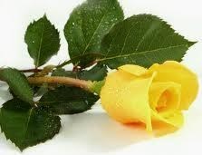 Obituary of Clara Lou Weiman