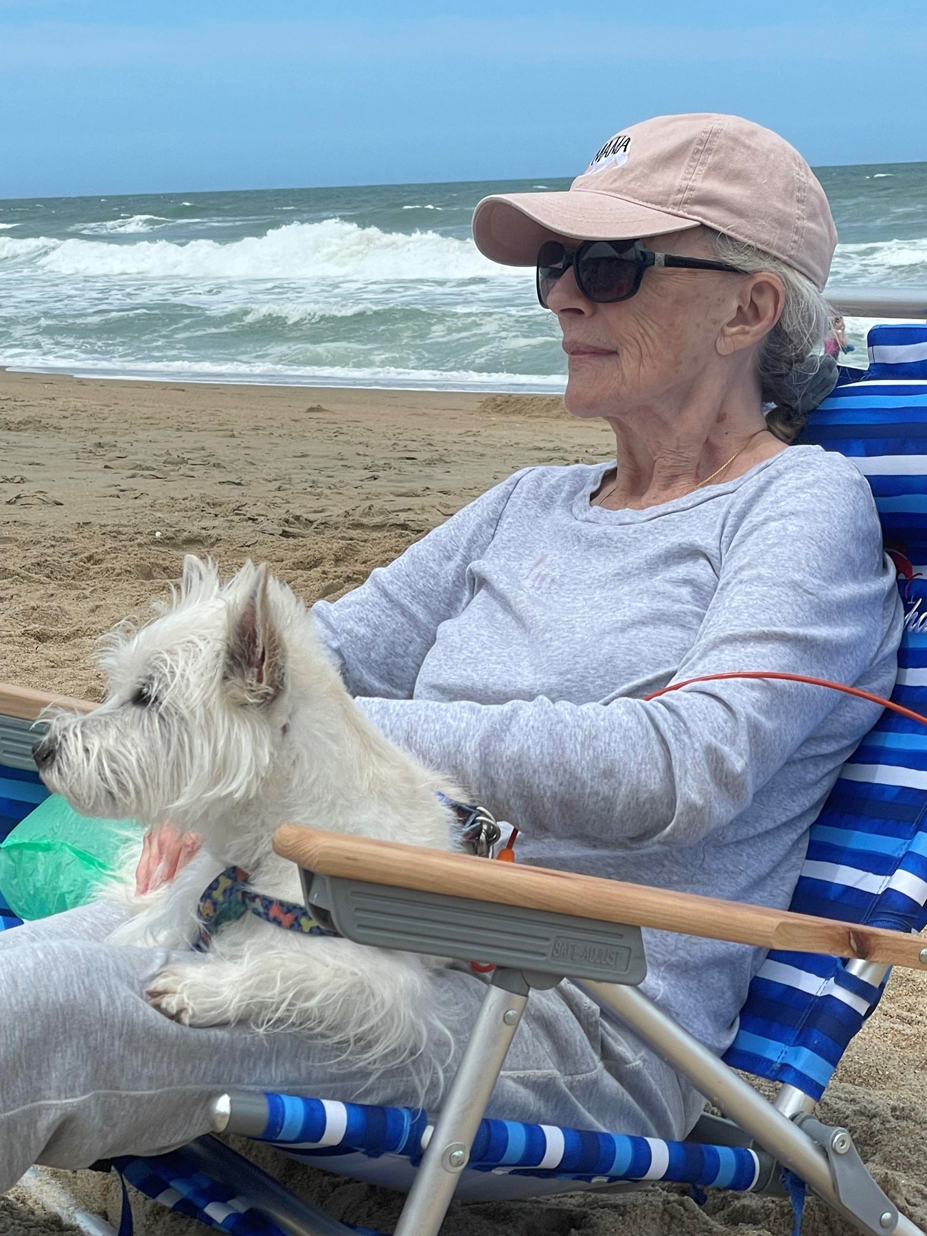 Obituary of Patricia Forrest Petrovic