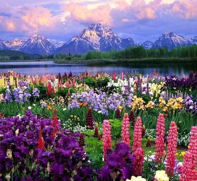 Obituary of Marjorie Duke