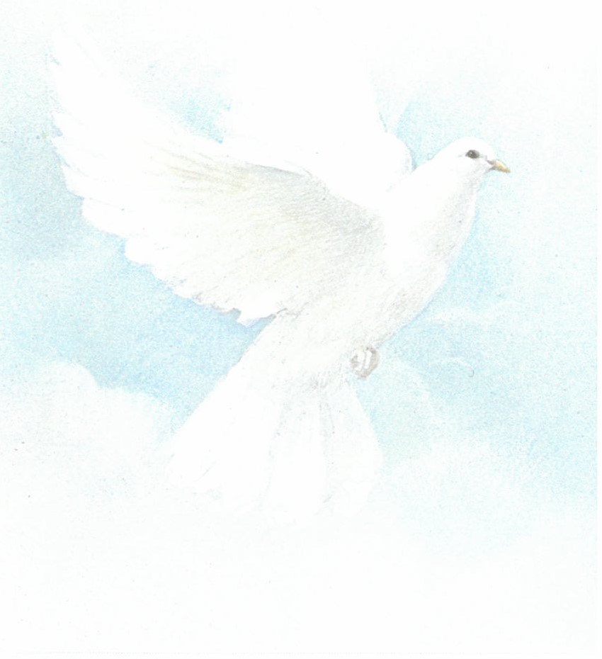 Obituario de Kum Ting Wong Chin