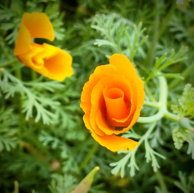 Obituary of Patrick Donald Grimm