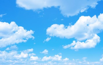 Obituary of Elvira Franco