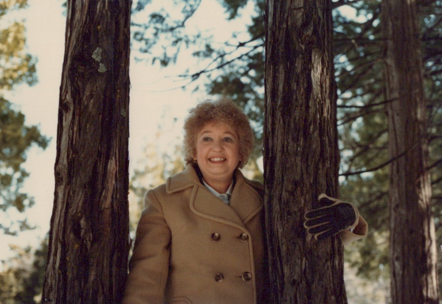 Obituary of Barbara Ann Halfacre