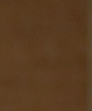Proctor Brightwell Obituary Houston, TX
