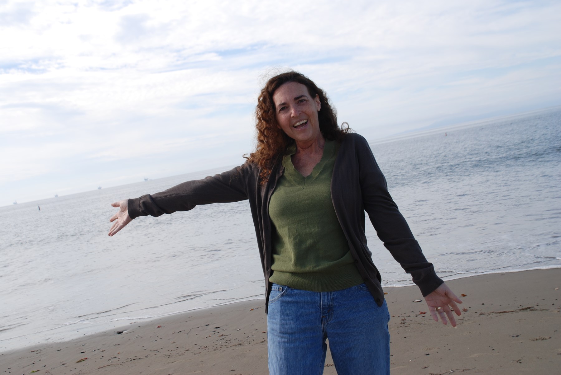 Obituary of Ilyse Ann Husovsky