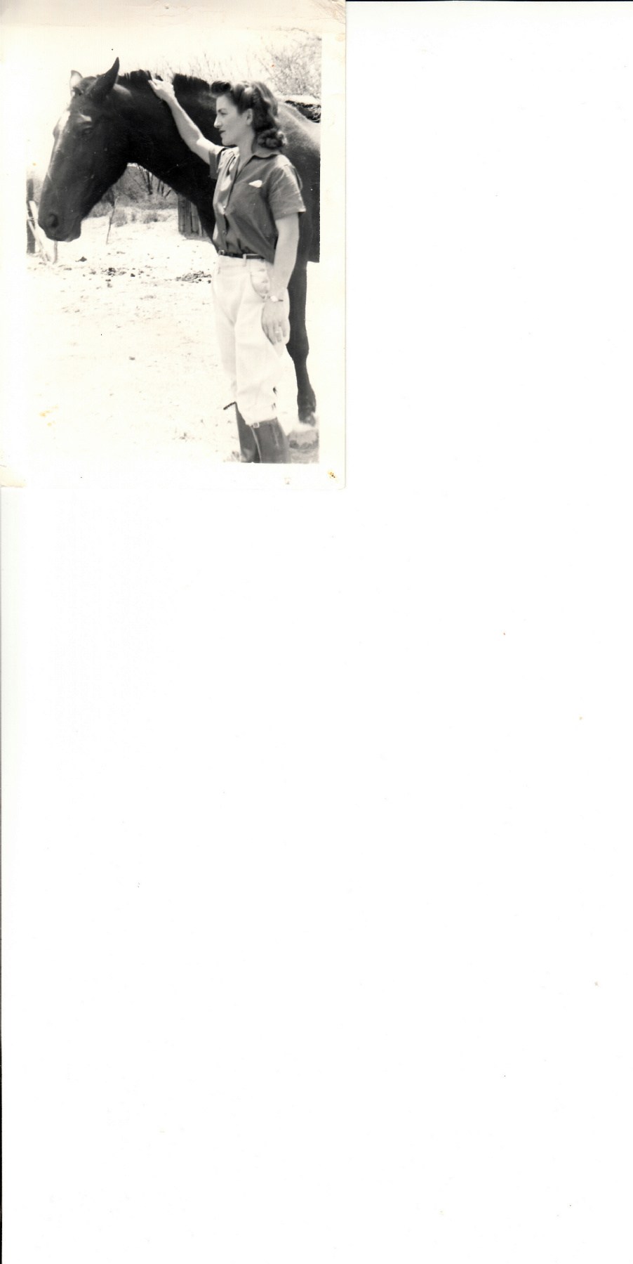 Obituary of Ida Lora Arneson Haines