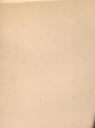 Roderick Clive Browne Obituary - Dallas, TX