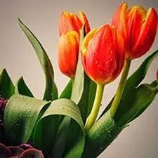 Obituary of Patricia J. Bunting