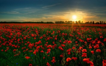 Obituary of Linda C Gunther