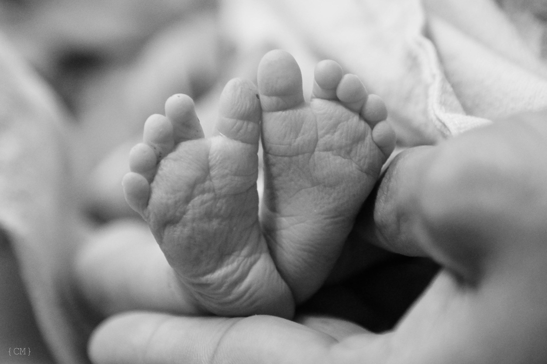 Obituary of Adalee Ella Faith Rogers