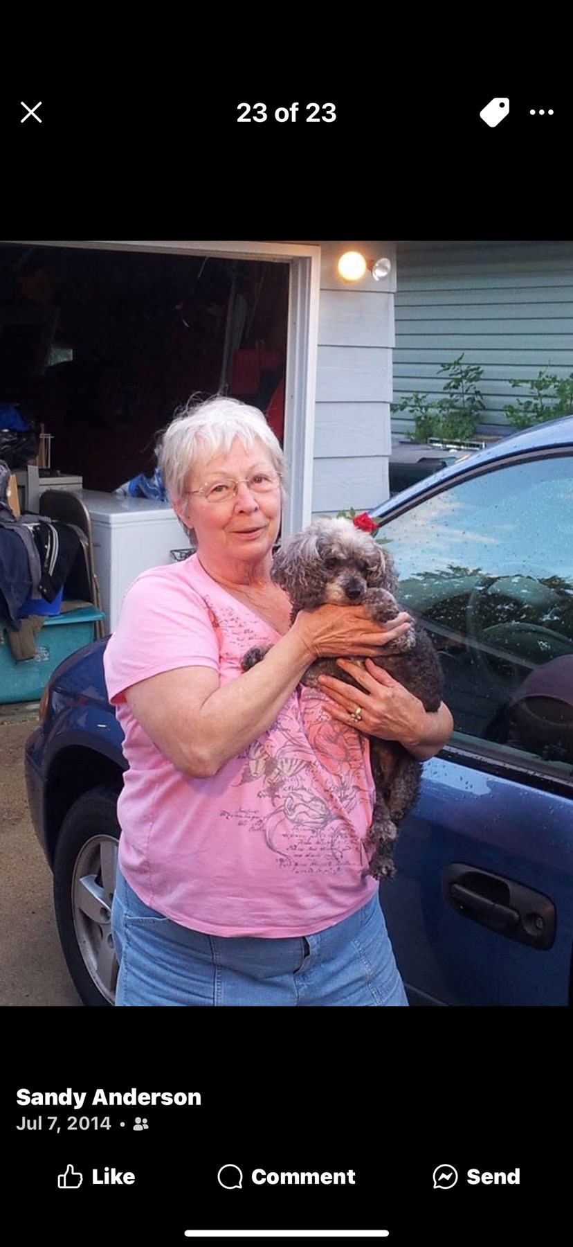 Obituary of Sandy Anderson