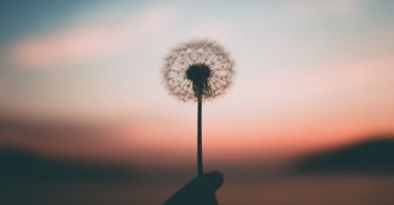 Obituario de Richard Romero