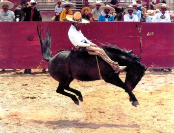 Obituary of Lalo Dominguez