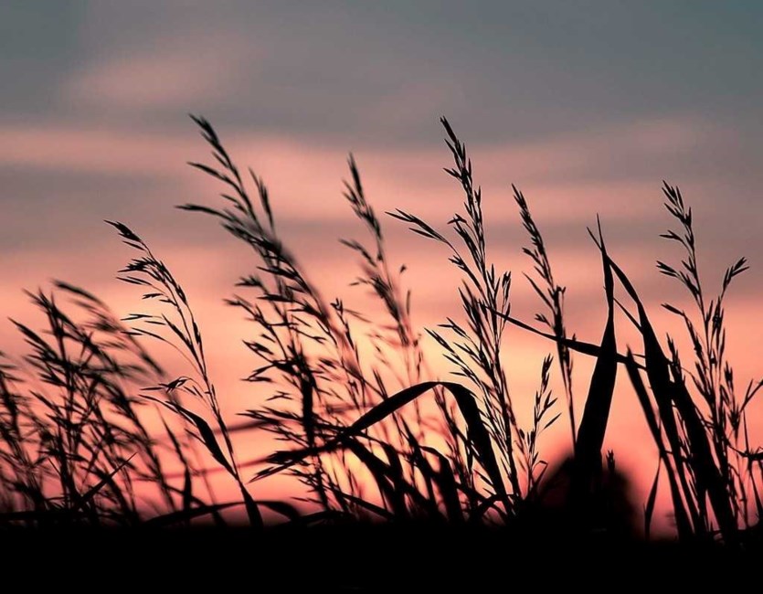 Obituary of Gerald Fred Sherburne