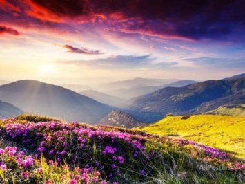 Obituary of Kenneth Walter Price