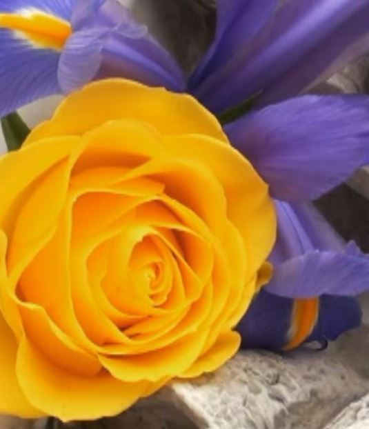 Obituario de Martha Tarleton Campbell