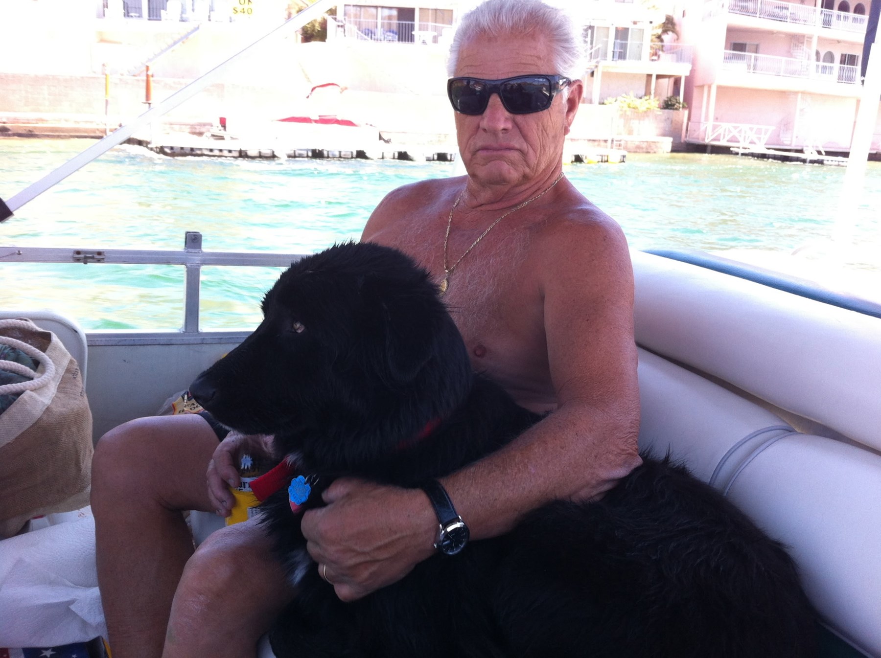Obituary of Richard James DiNolfi