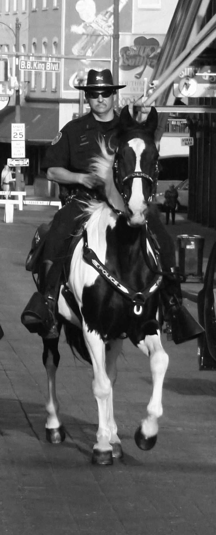 Obituary of Stephen Lee Jones