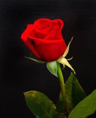 Obituario de Edward Earl Roberts