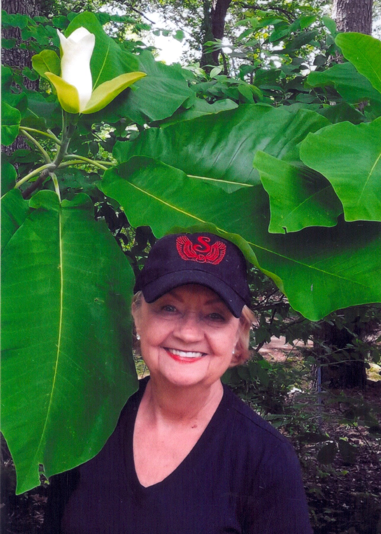 Lois Massey Obituary - Memphis, TN