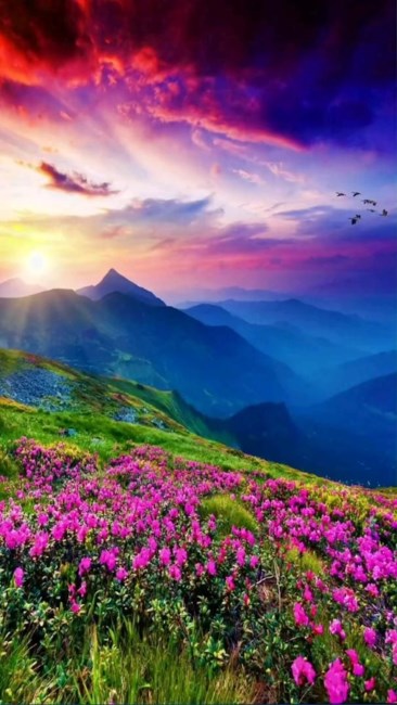 Avis de décès de della Mae Richards