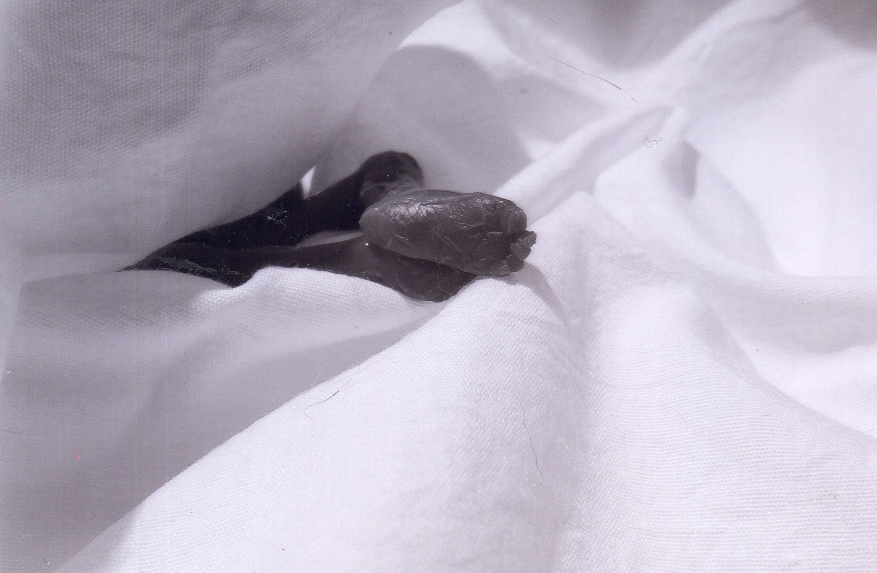 Obituary of Zelda Rose Maultsby