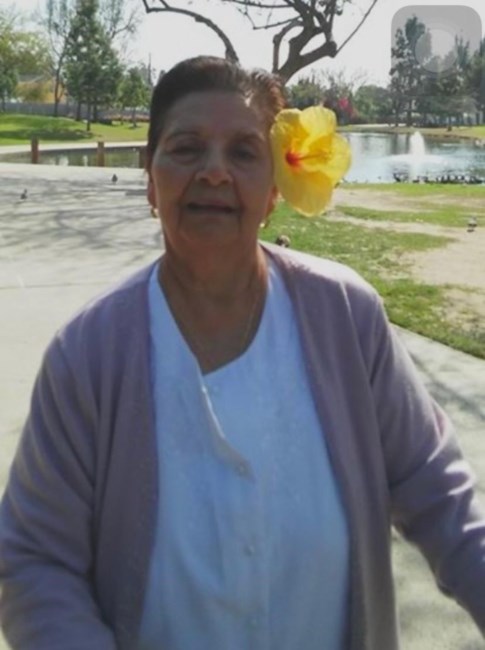 Obituary of Teresa Castillo Rodriguez