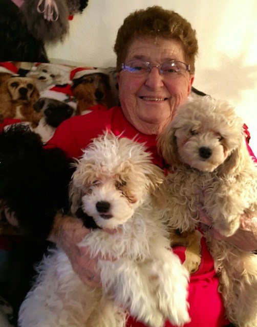 Obituary of Barbara A Johns