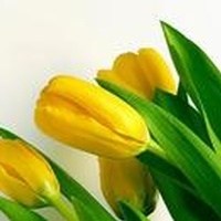 Obituary of Charlotte Joyce McGarity