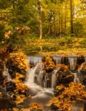 Obituary of Eileen June Manno