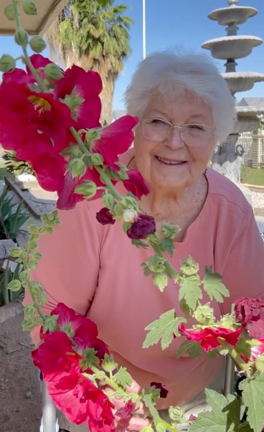 Obituary of Patricia Cosand Briscoe