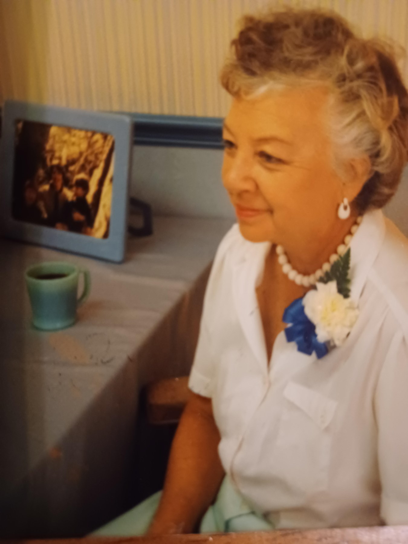 Clare Kachelriess Obituary St Pete Beach, FL