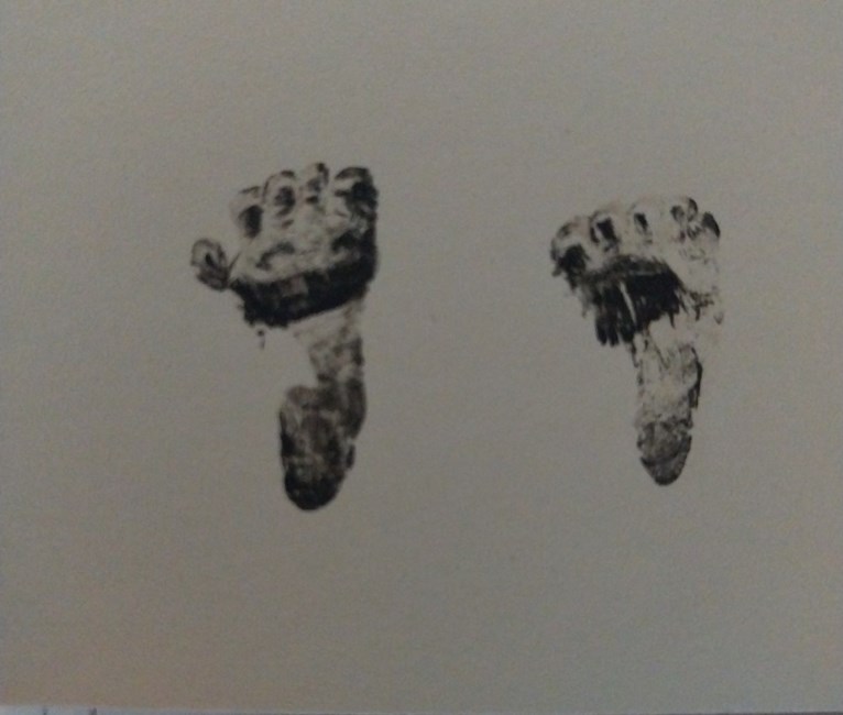 Obituary of Noah Oscar Lara