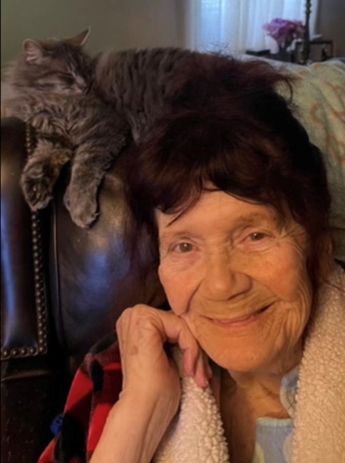 Obituary of Dalorus Lucinda Palmer