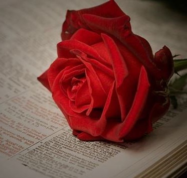 Obituary of Rose F. Scourtes