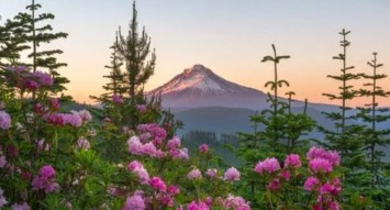 Obituary of Mary Ann Wilson