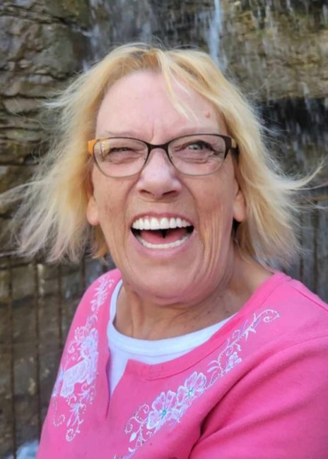 Obituary of Marlene Lynn VanderWal