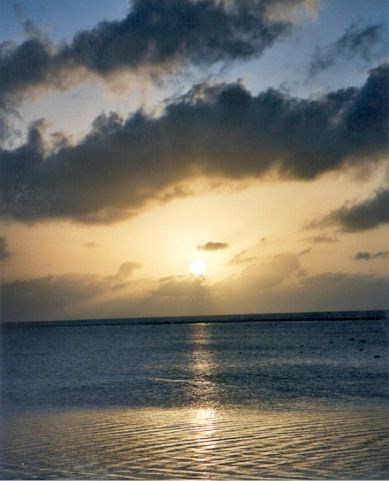 Obituary of Frank T. Homyak