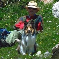 Obituary of Gordon Glen Goff