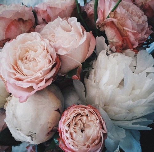 Obituary of Blanca Patricia Lopez