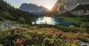 Obituary of Alexander Joiles