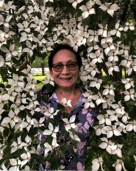 Obituary of Hong Nguyen Le