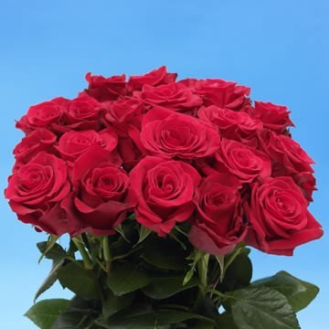 Obituary of Loretta J. Wright