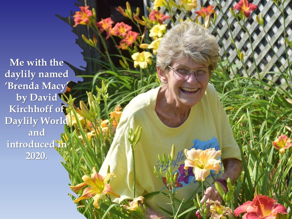 Obituary of Brenda Gail Macy