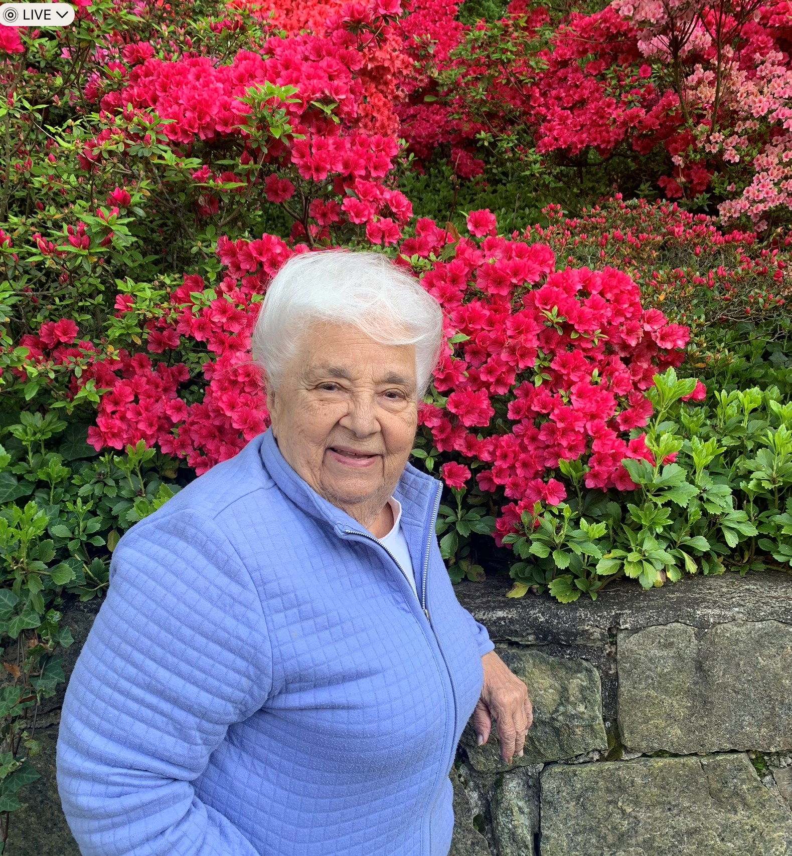 Tomasina Vittorio Obituary Yonkers, NY