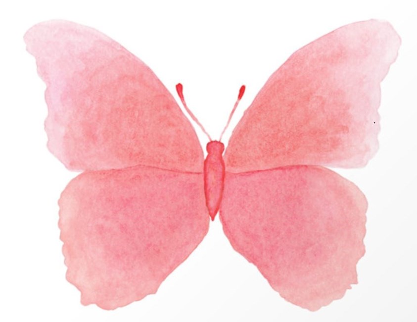 Obituary of Marilyn E Scherer