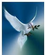 Obituary of Roger O'Neil Boyer