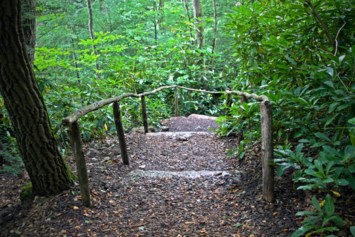 Obituary of Joe A Delgado