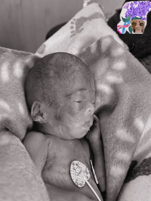 Obituary of Kassandra Angelica Castanares Camacho