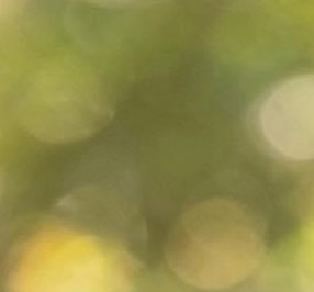 Madison Brooks Obituary Baton Rouge, LA